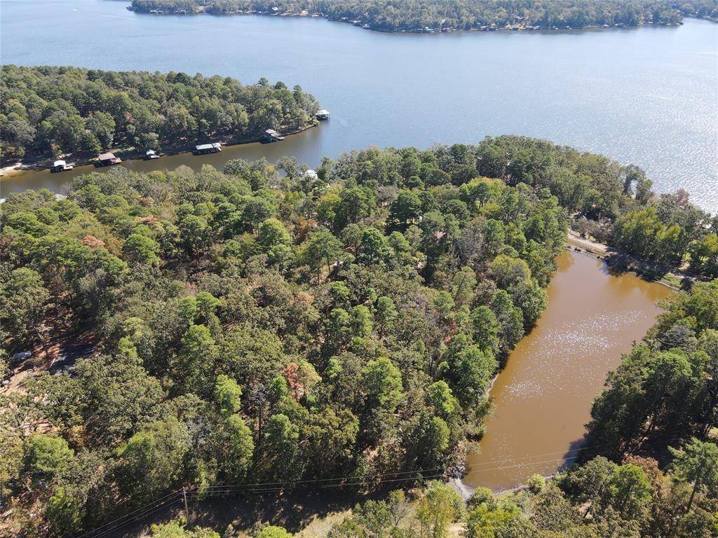 Scroggins, TX 75480,TBD King Bruce Road