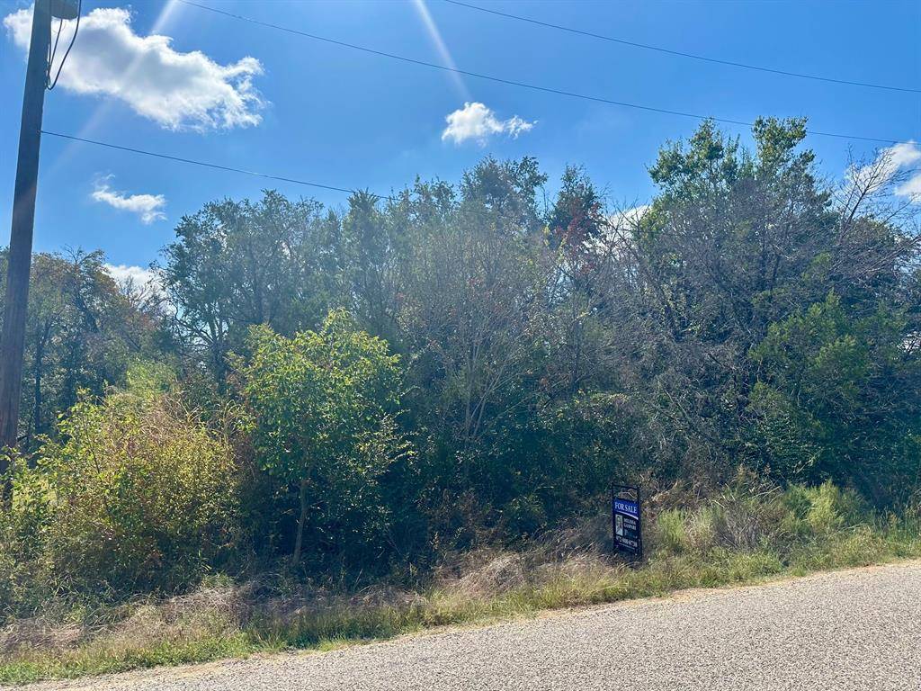 Granbury, TX 76048,1005 Comanche Cove Drive