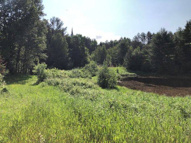 Hastings Highlands, ON K0L 2R0,35956 Highway 62 N/A