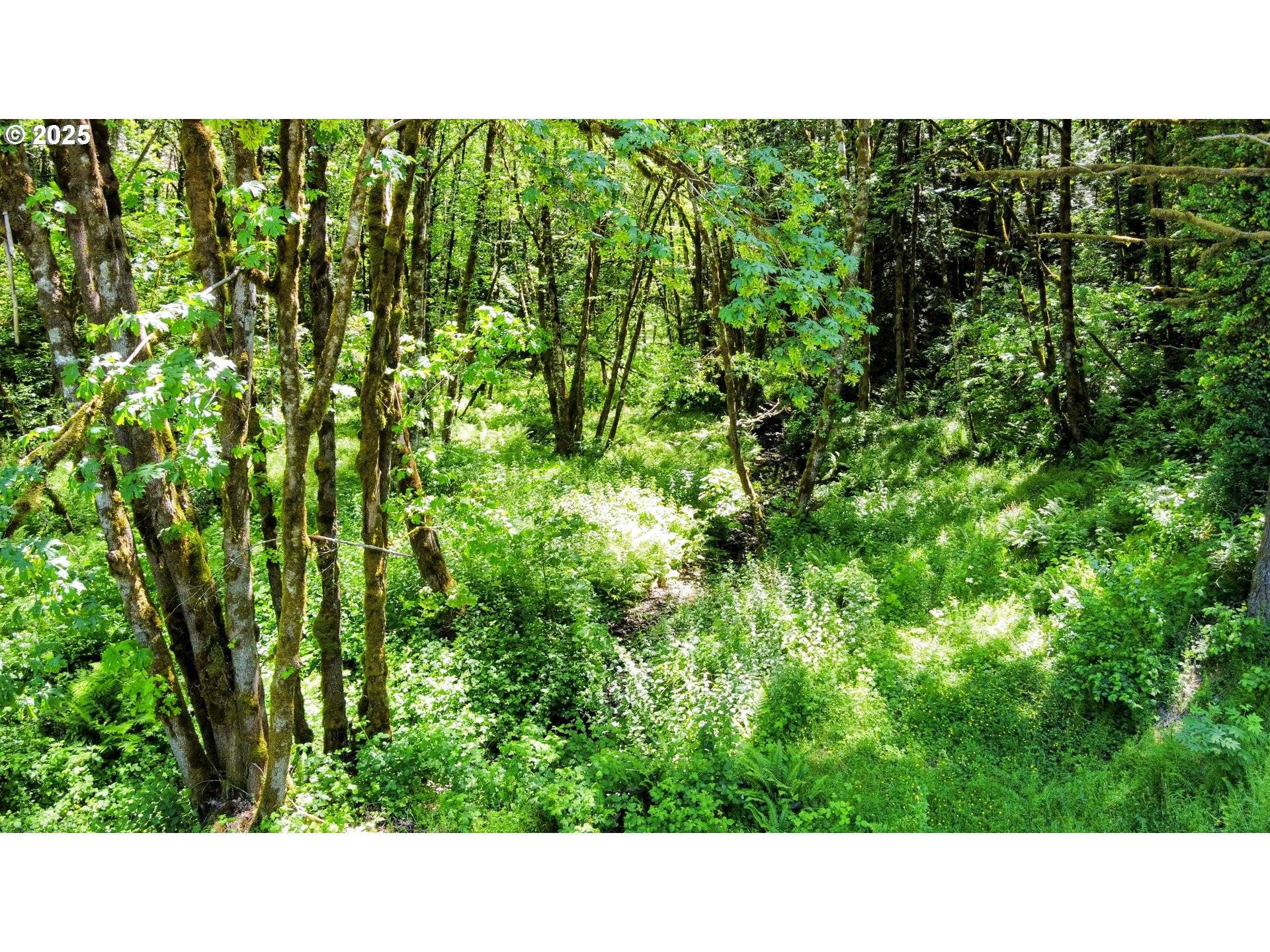 Portland, OR 97231,NW Cornelius Pass RD #500