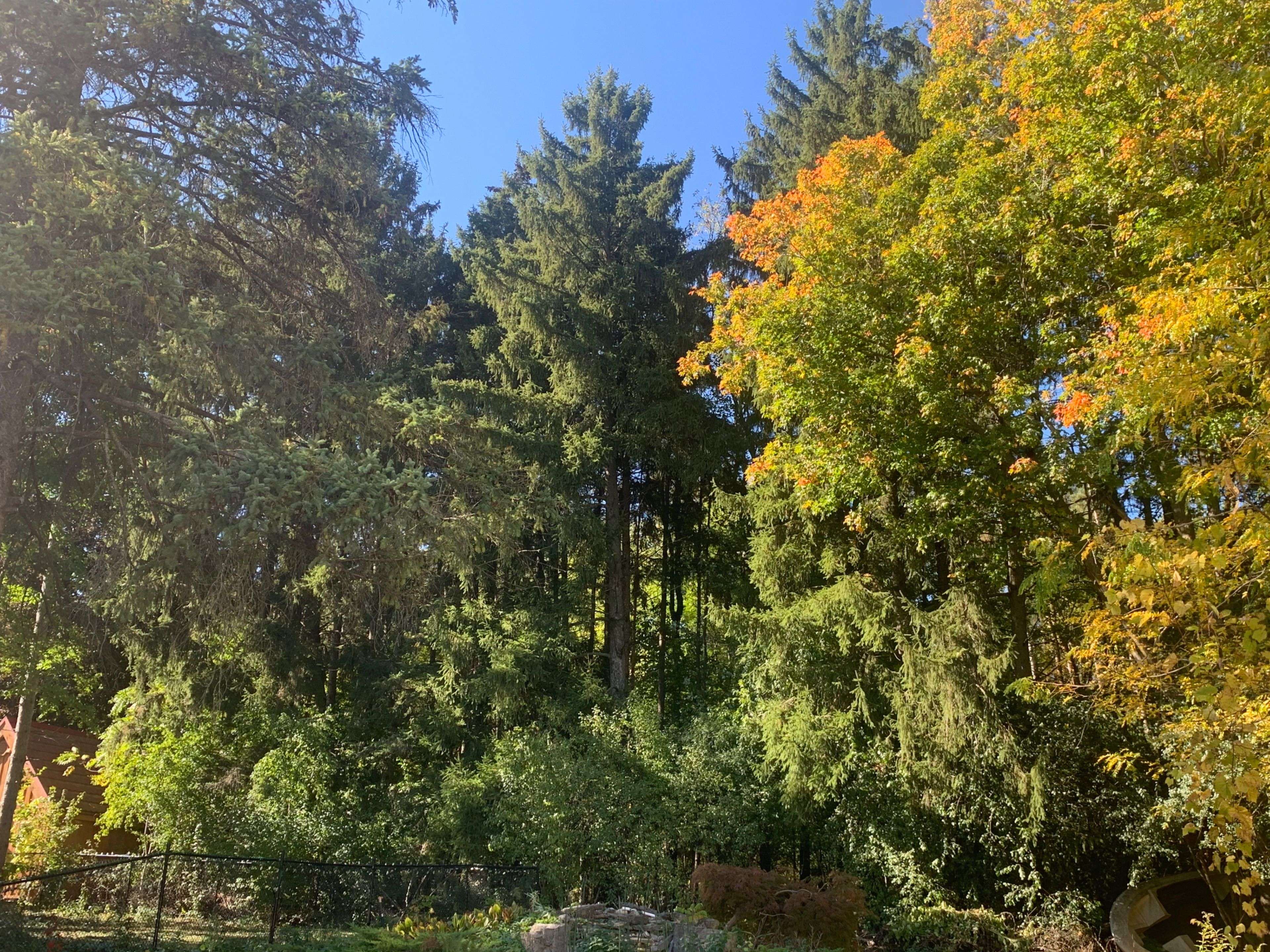 Guelph/eramosa, ON N1H 6J3,7244 Wellington Road 124 RD