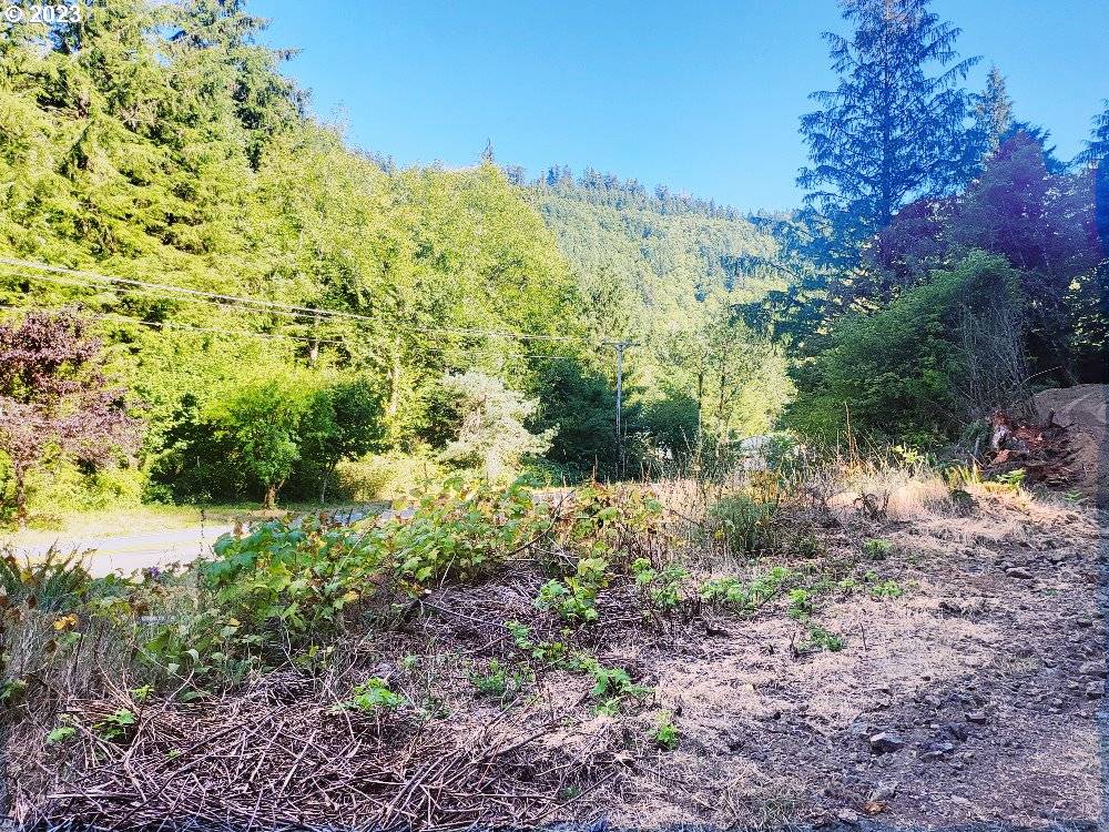 Nehalem, OR 97131,Miami Foley RD #800