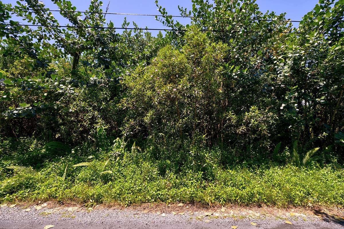 Keaau, HI 96749,AMAU RD