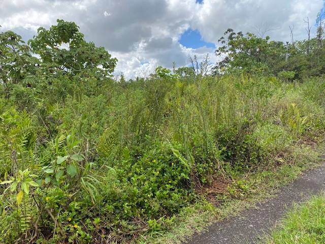 Pahoa, HI 96778,OPIHIKAO RD #Lot 46