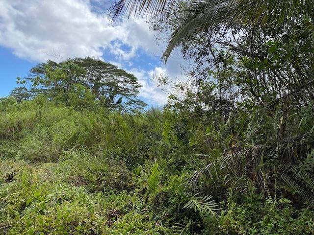OPIHIKAO RD #Lot 46, Pahoa, HI 96778