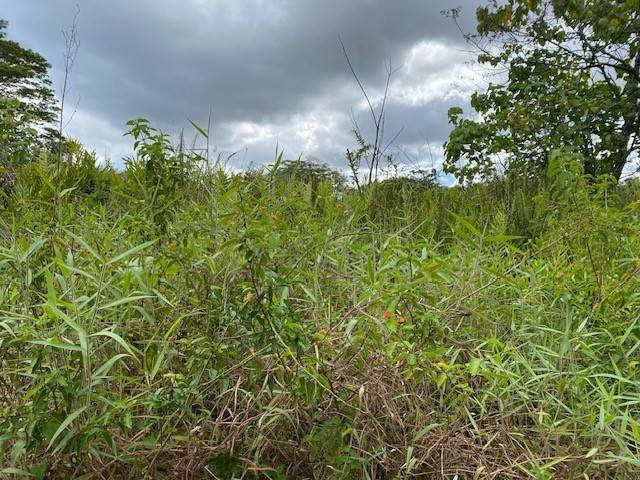 OPIHIKAO RD #Lot 46, Pahoa, HI 96778