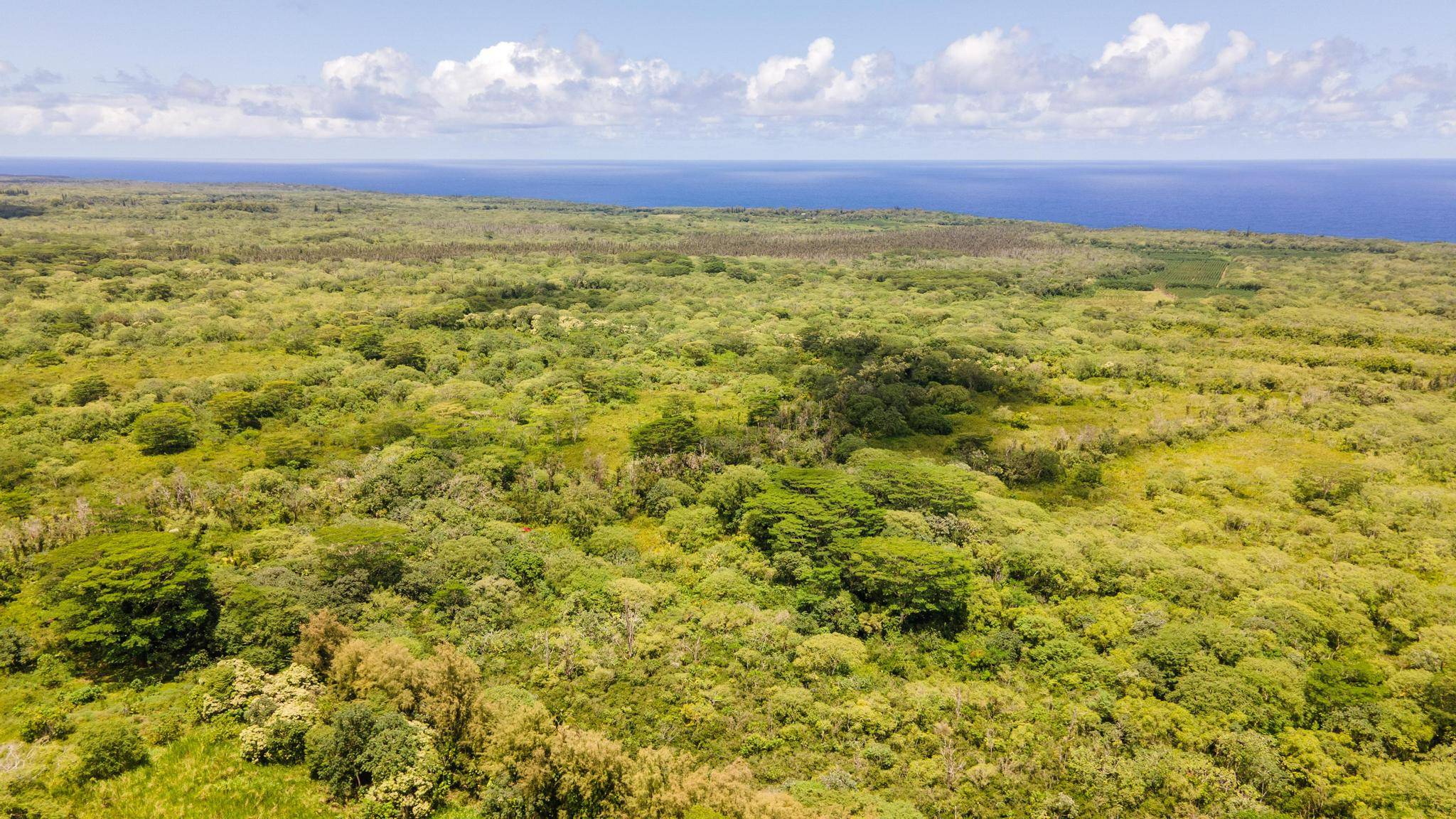 OPIHIKAO RD #Lot 46, Pahoa, HI 96778