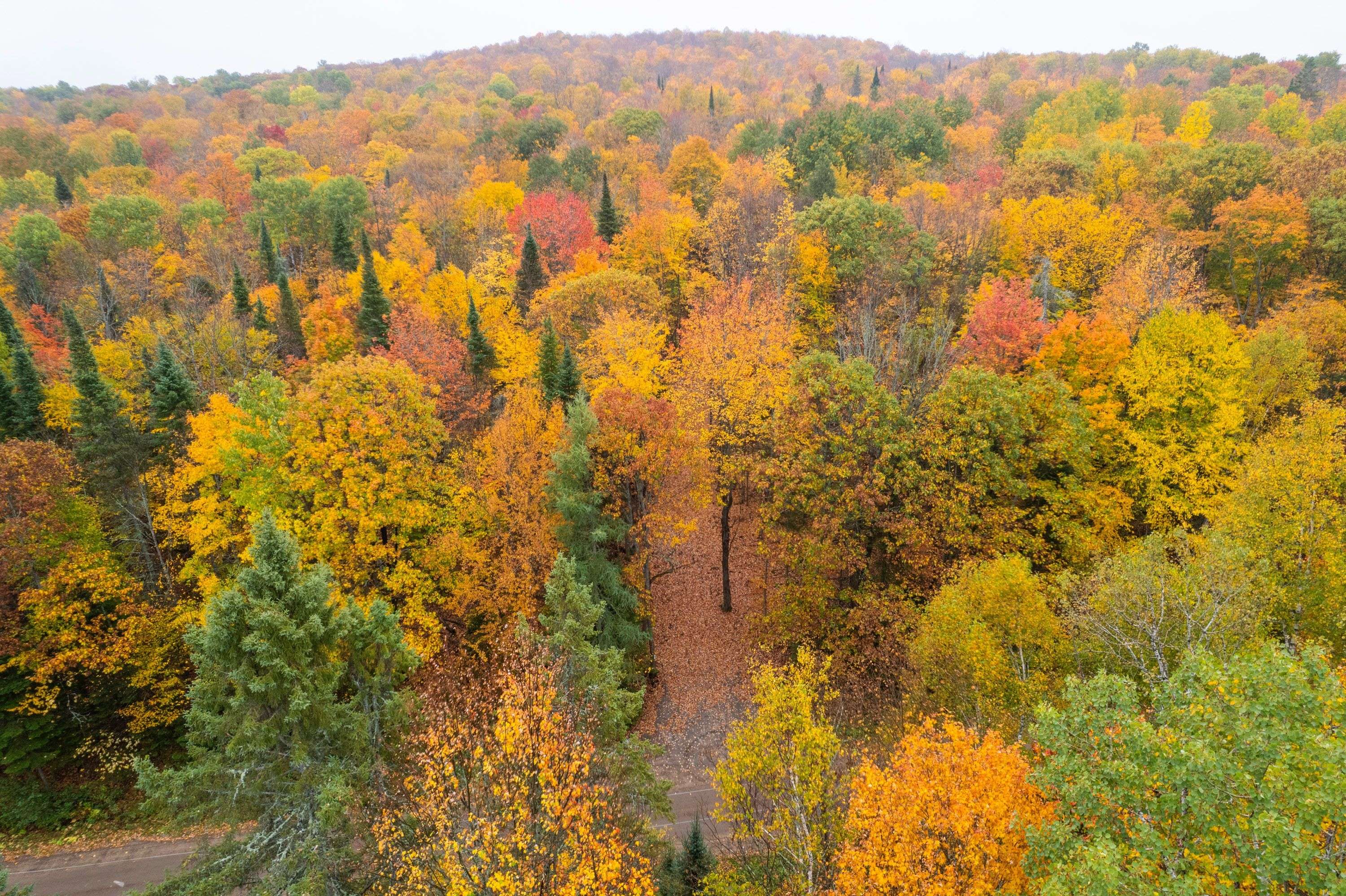 Madawaska Valley, ON K0J 1L0,00 Peplinskie RD