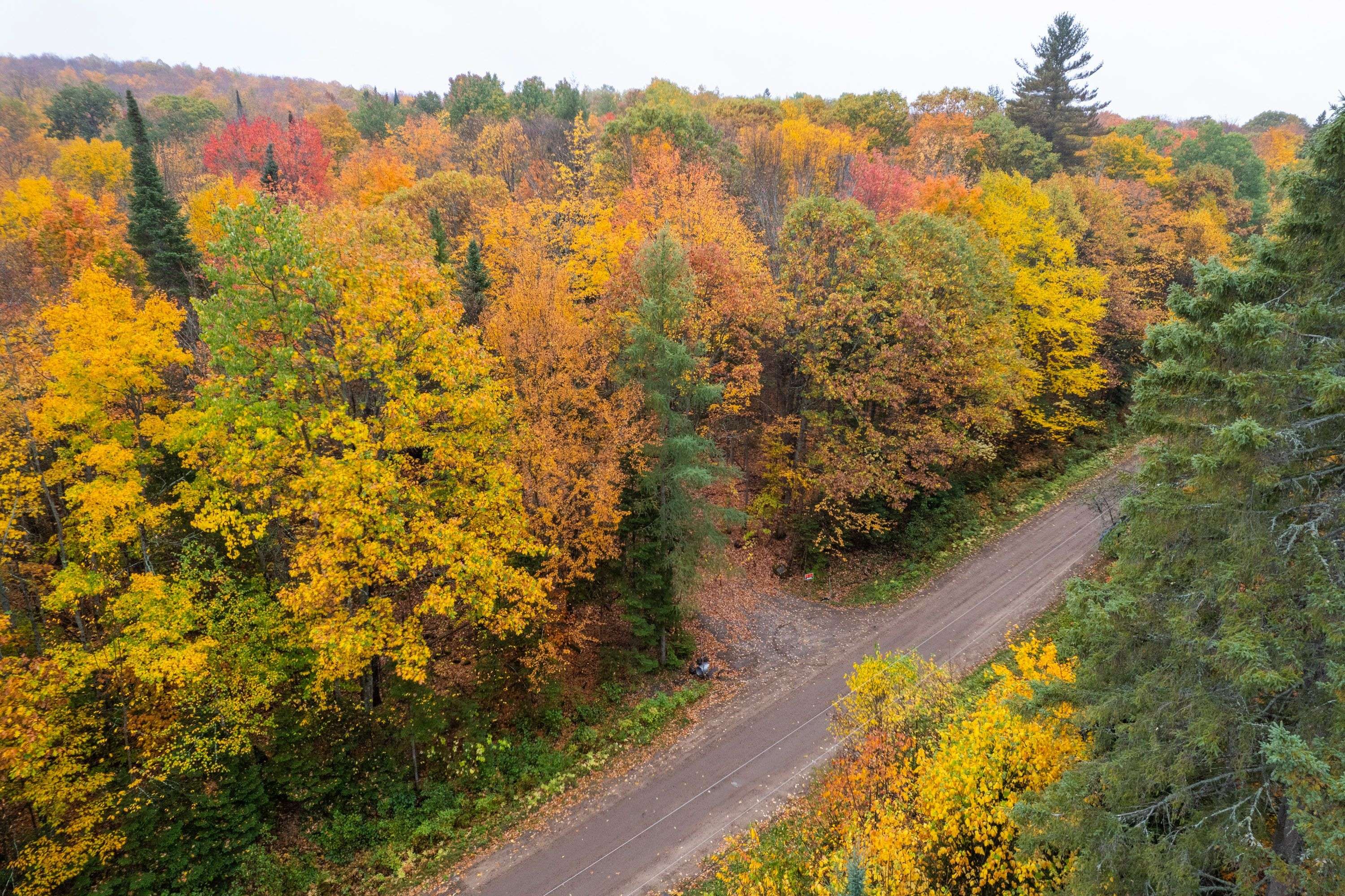 Madawaska Valley, ON K0J 1L0,00 Peplinskie RD
