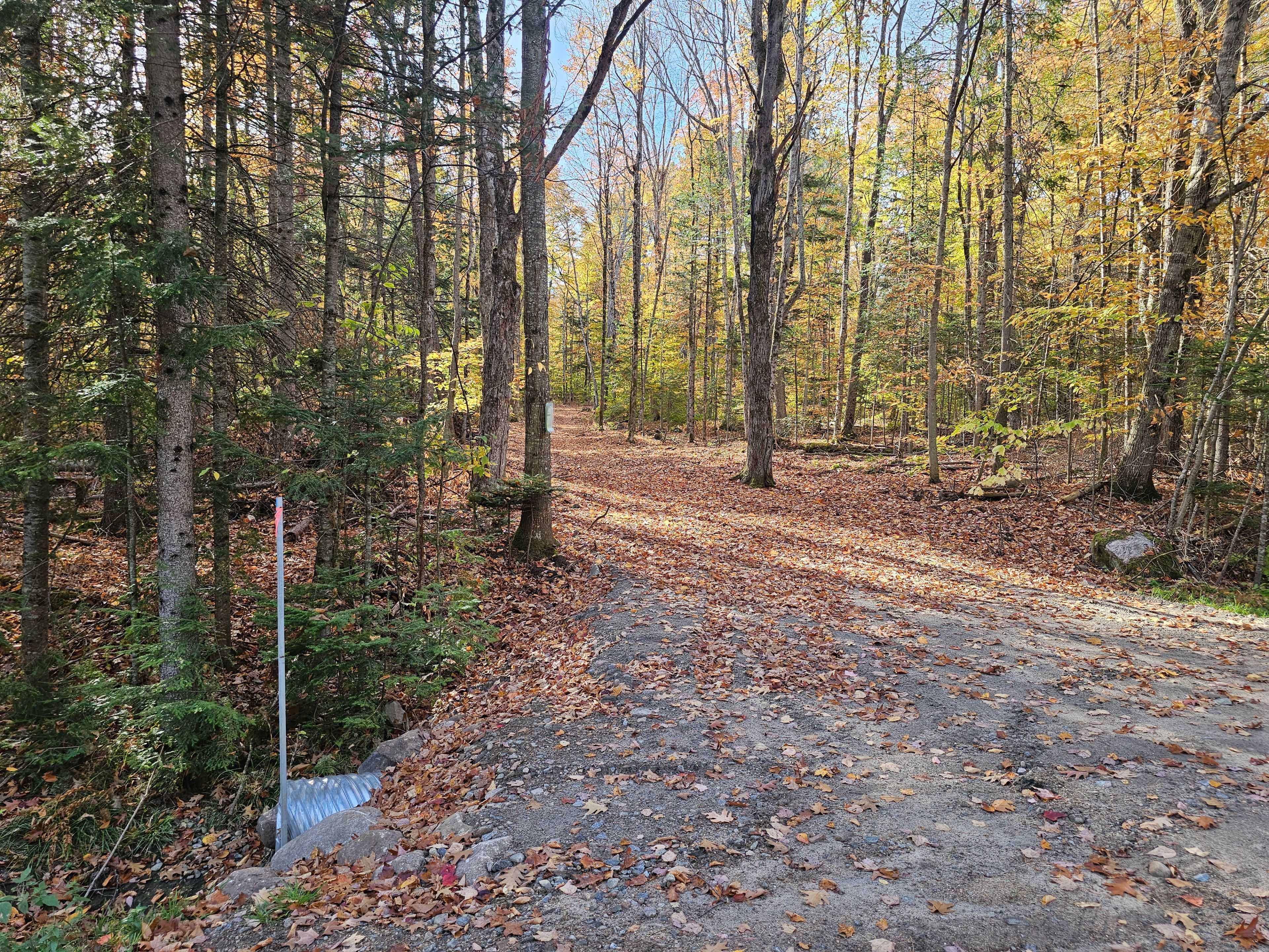 Madawaska Valley, ON K0J 1L0,00 Peplinskie RD