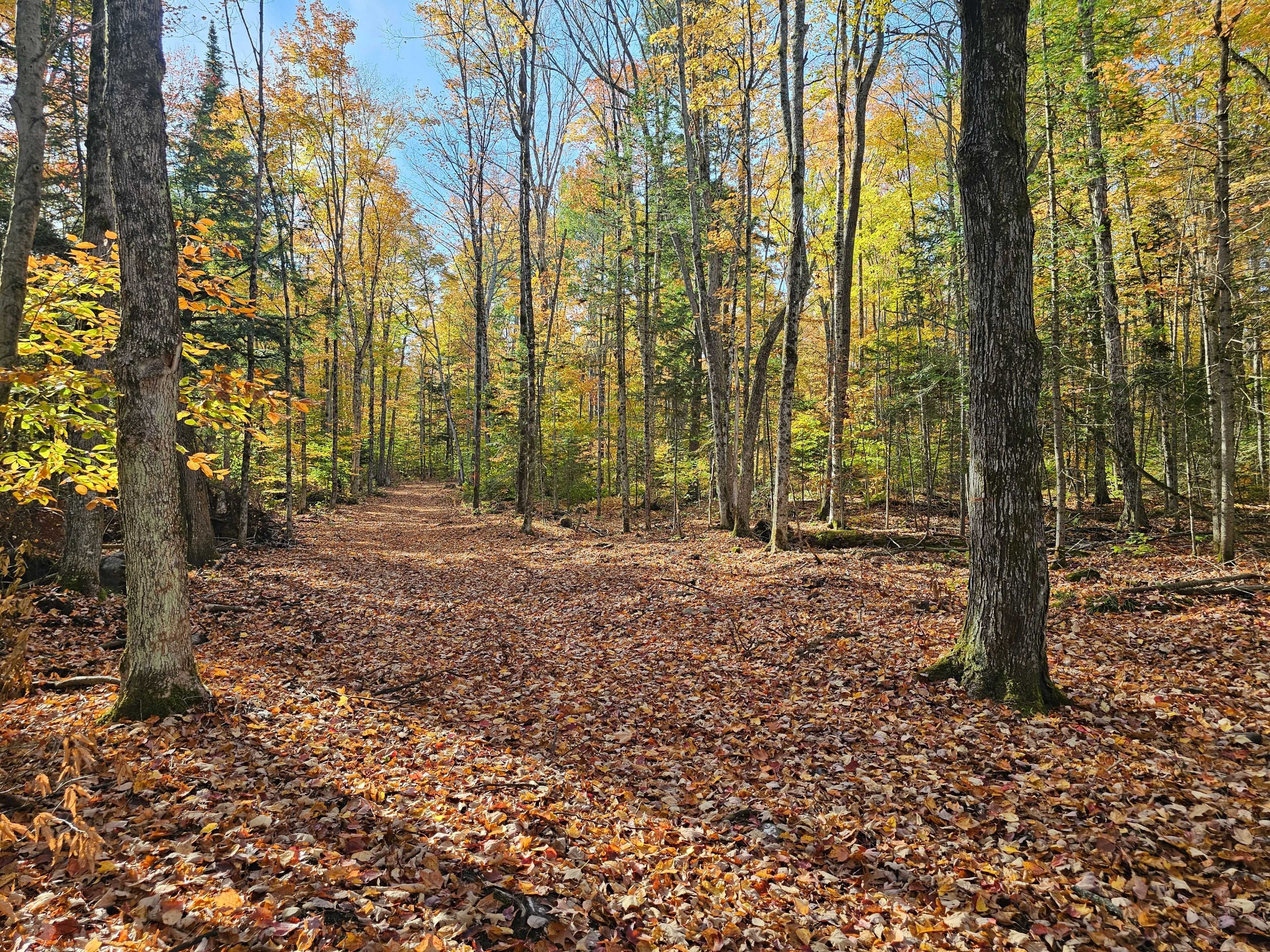 Madawaska Valley, ON K0J 1L0,00 Peplinskie RD