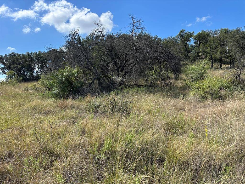 Brownwood, TX 76801,891 Safe Harbor Drive