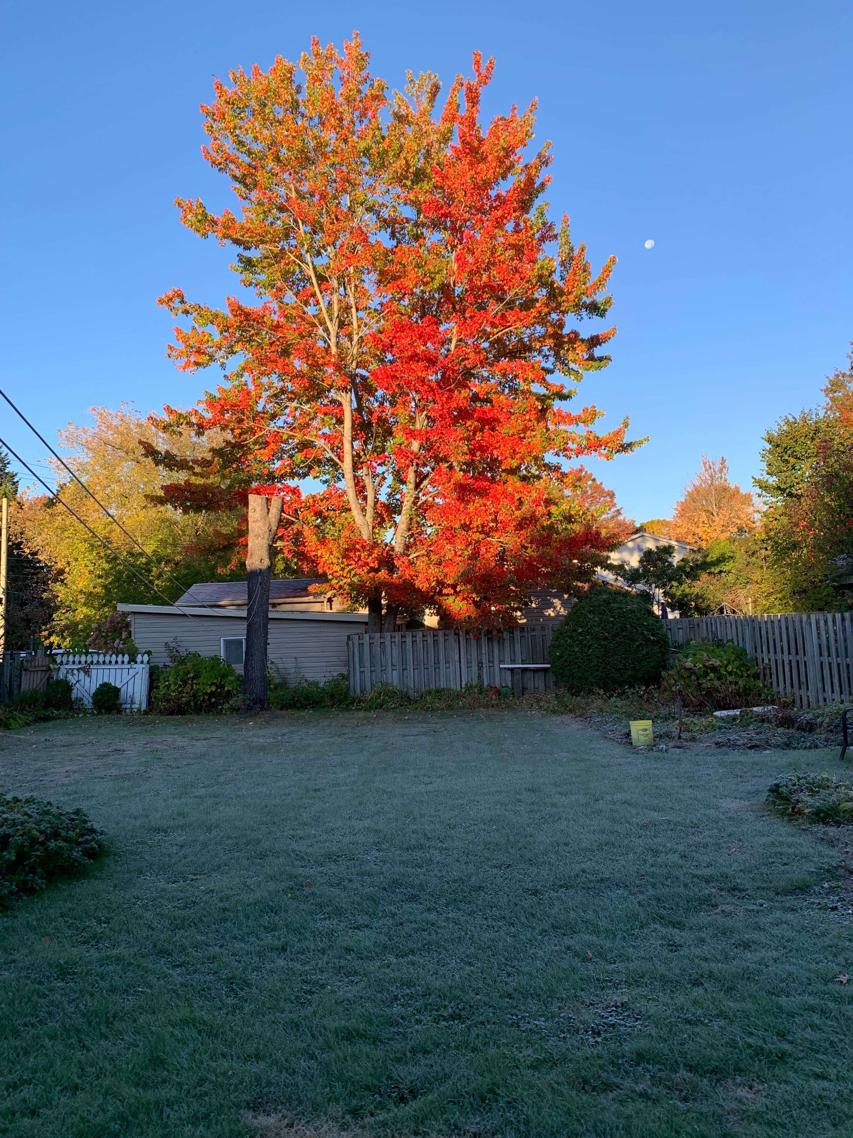 Sault Ste Marie, ON P6A 4Z7,9 Gravelle ST