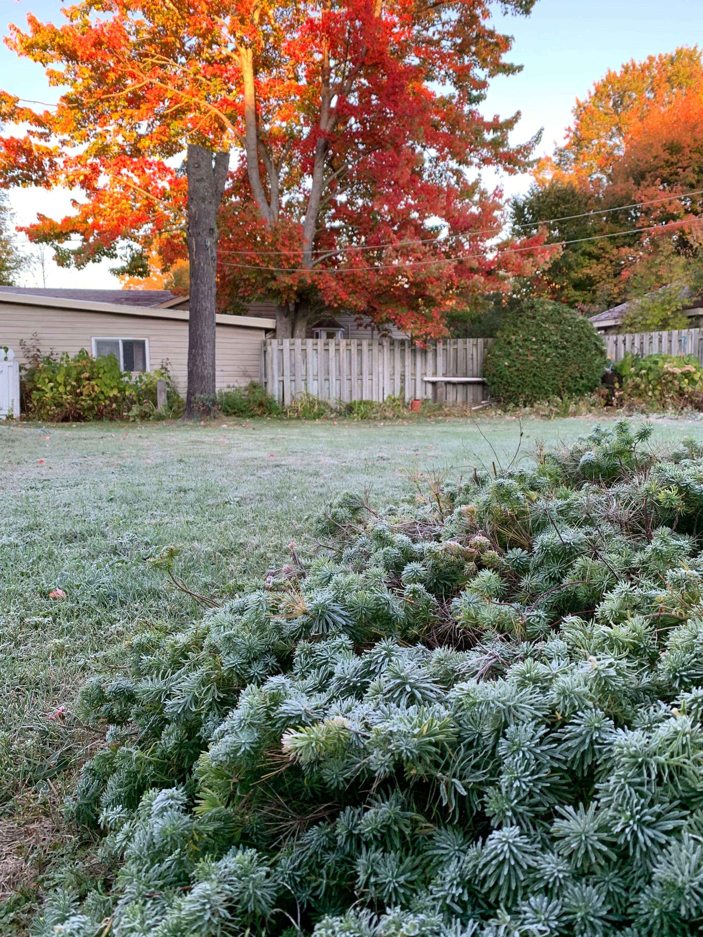 Sault Ste Marie, ON P6A 4Z7,9 Gravelle ST