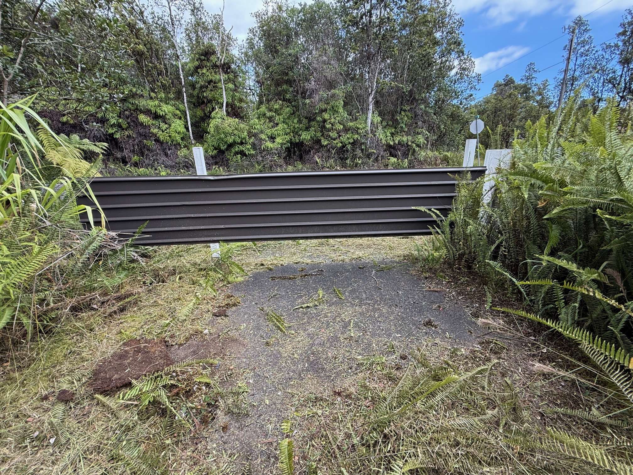 Volcano, HI 96785,11-3093 OHIA AVE