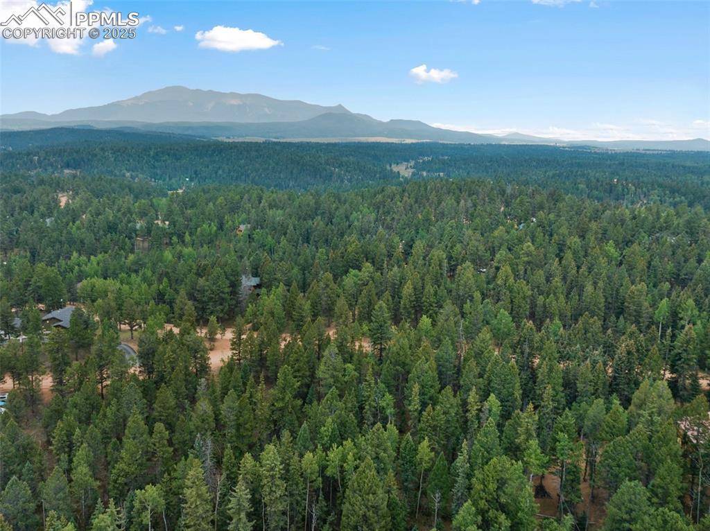 Divide, CO 80814,810 Ridge RD