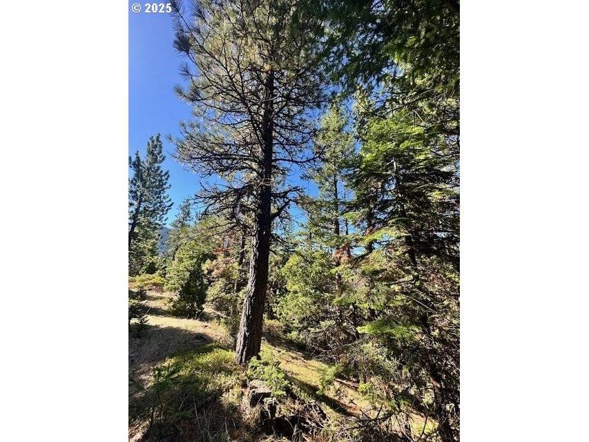 Jacksonville, OR 97530,0 YALE CR RD