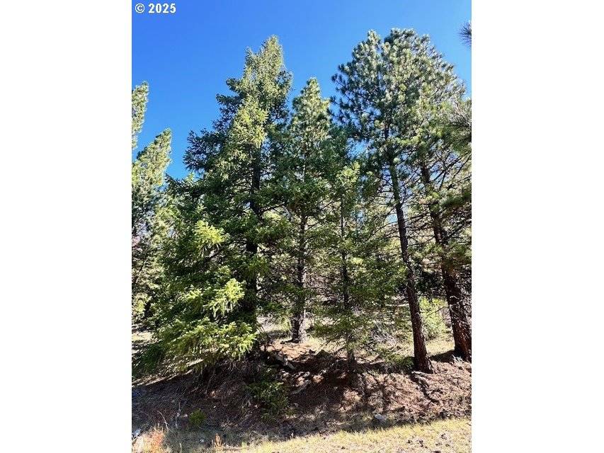 Jacksonville, OR 97530,0 YALE CR RD