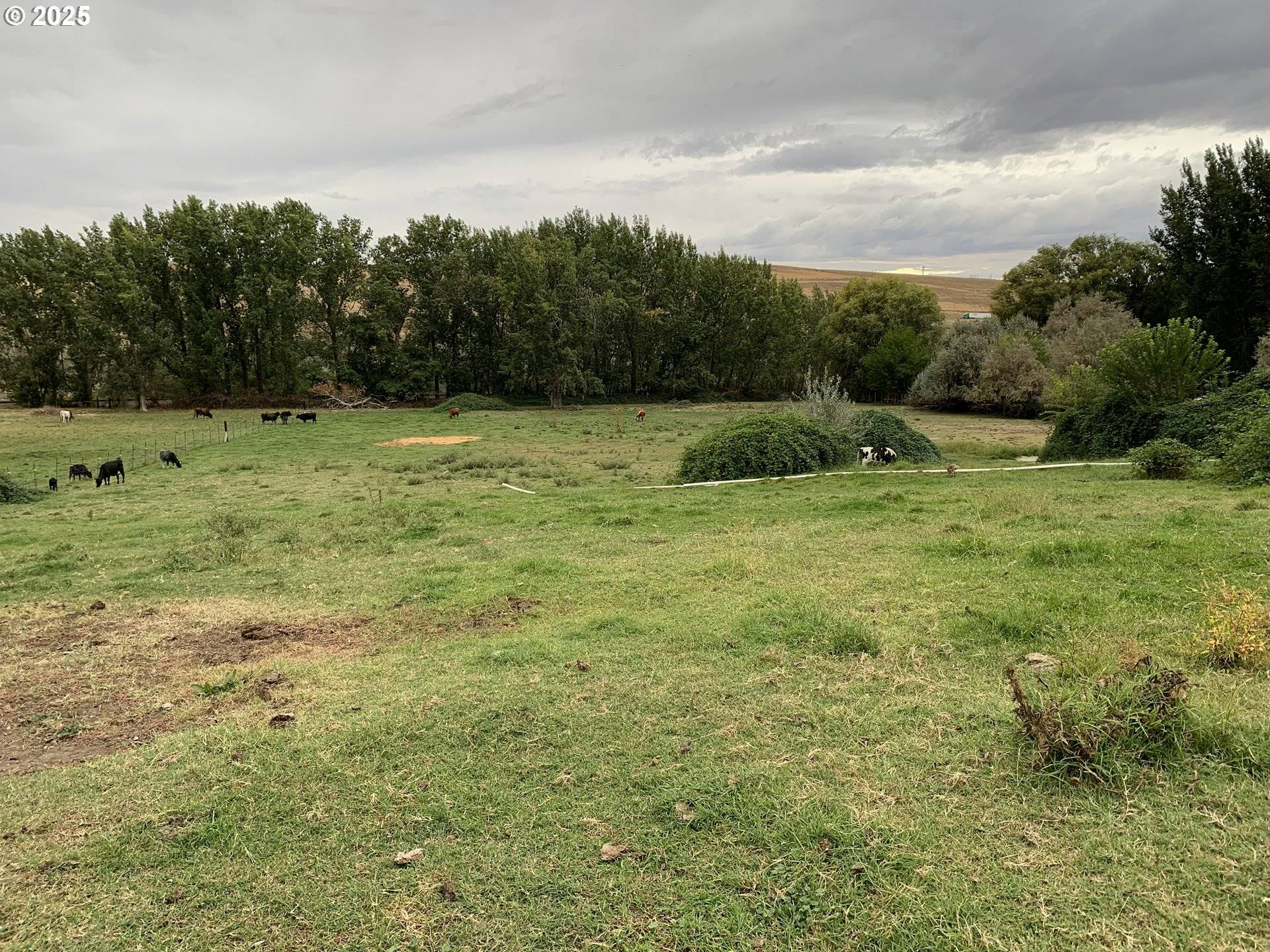 Hermiston, OR 97838,Cooney LN