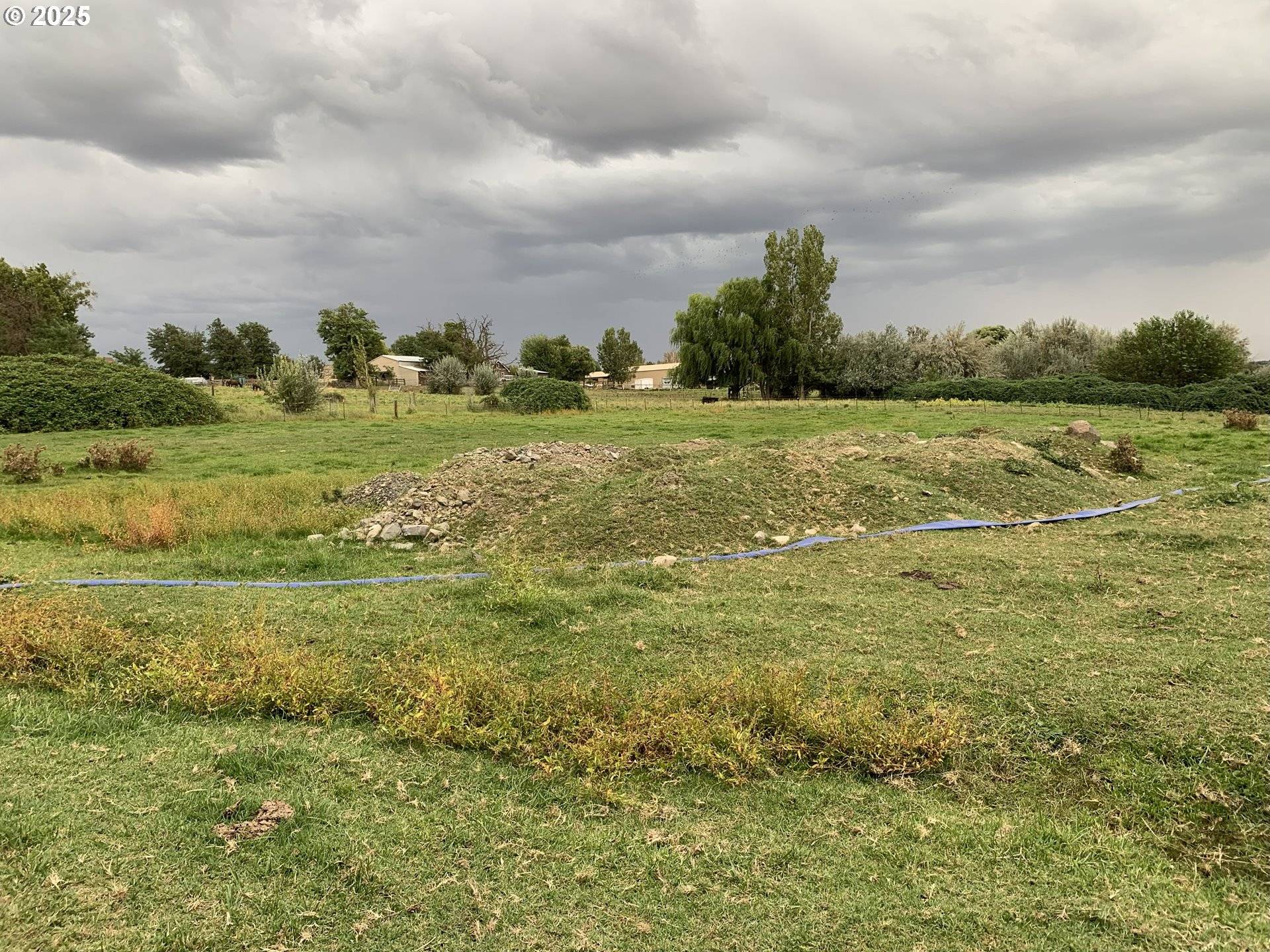 Hermiston, OR 97838,Cooney LN