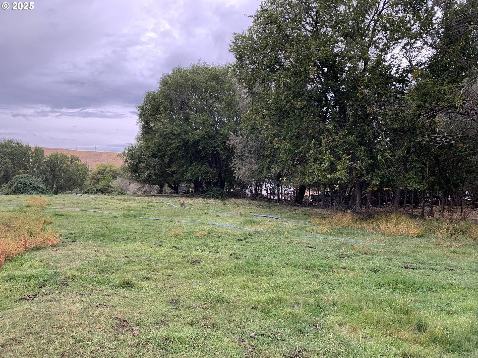 Hermiston, OR 97838,Cooney LN