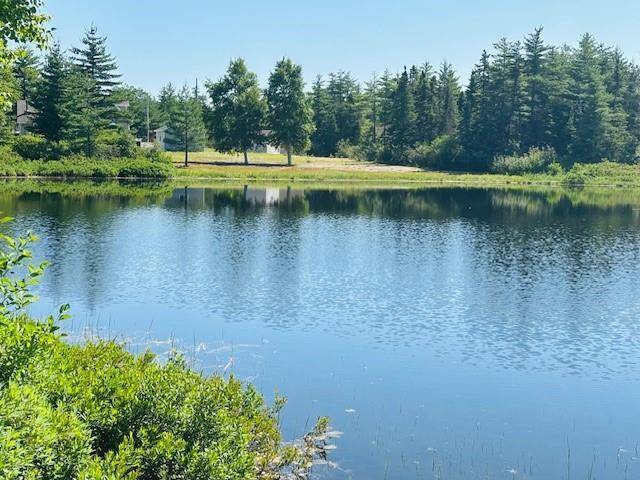 Terra Nova, NL A0C 1L0,29 Lilly Brook Road