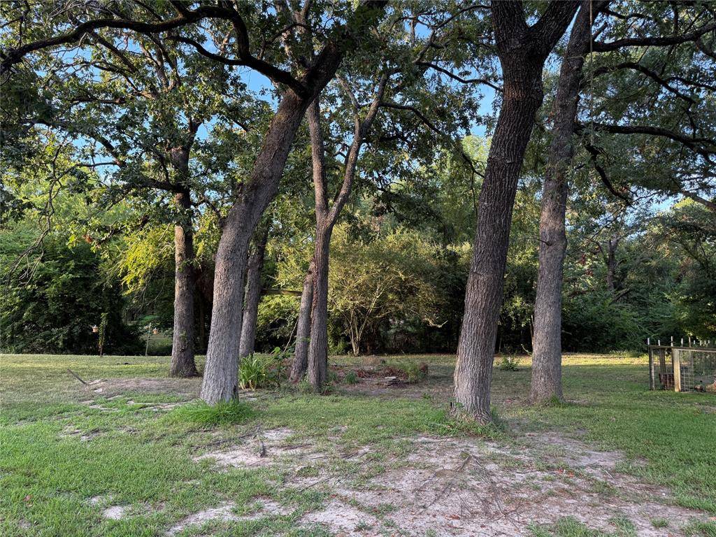 Enchanted Oaks, TX 75156,TBD Lake Drive