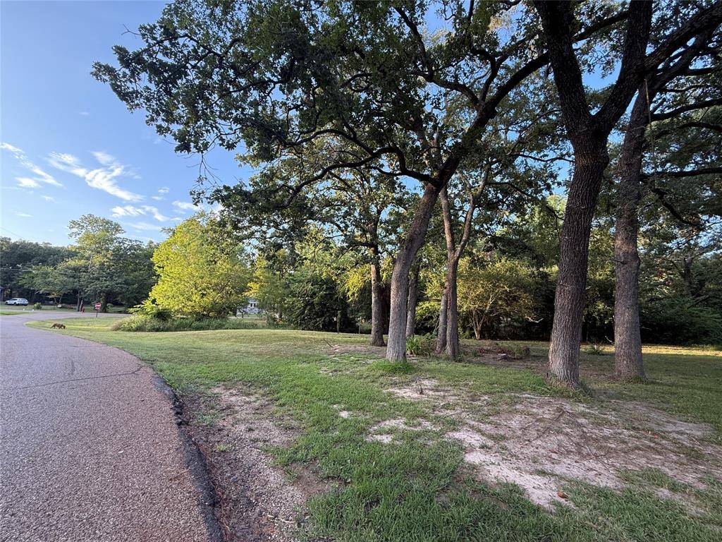 Enchanted Oaks, TX 75156,TBD Lake Drive
