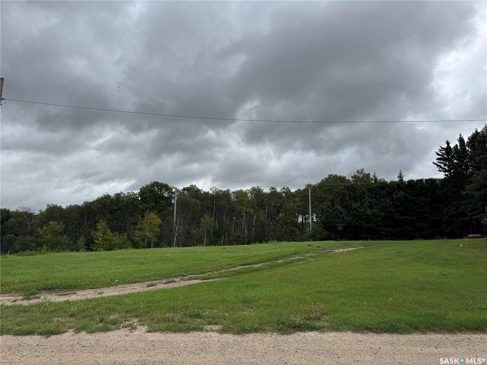 Punnichy, SK S0A 3C0,607 Main STREET