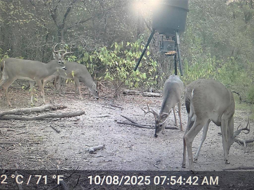 Purdon, TX 76679,TBD 10 ACRES NW County Road 3055