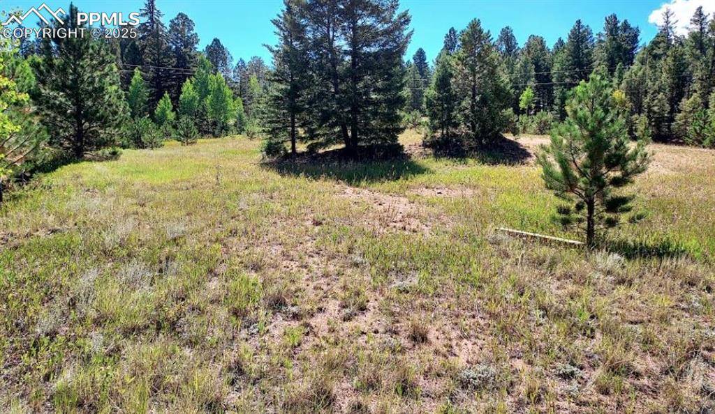 Florissant, CO 80816,1763 County Road 421