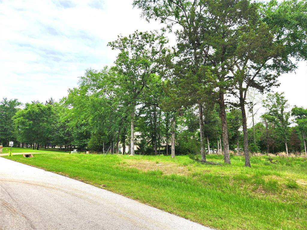 Larue, TX 75770,9042 Safari Bluff