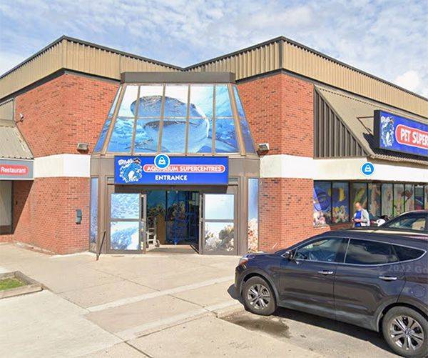 Brampton, ON L6W 3E1,16 Kennedy RD