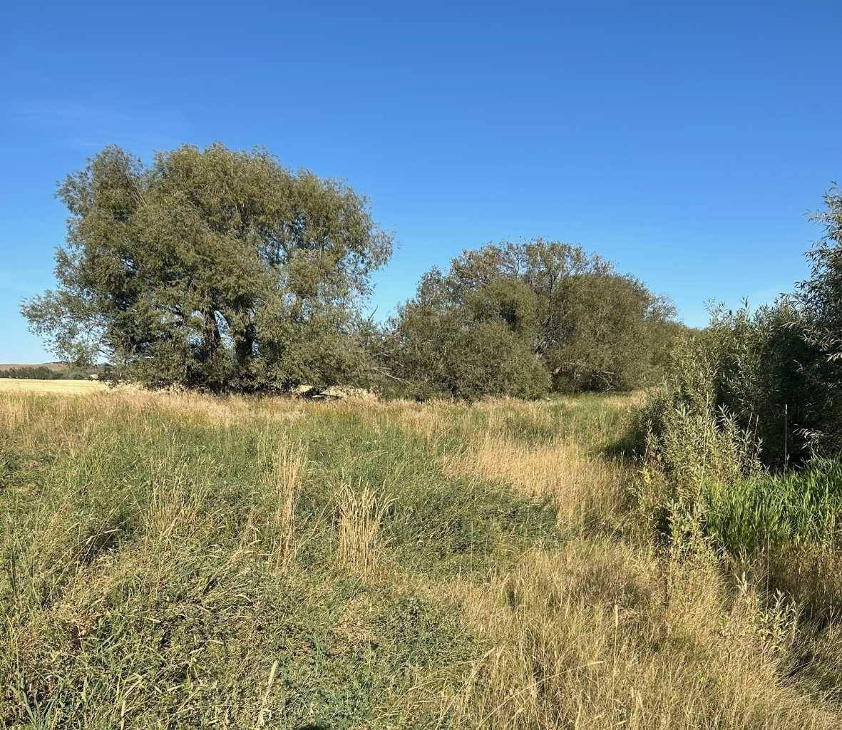 Rural Red Deer County, AB T4E 1B3,TWship Road 374