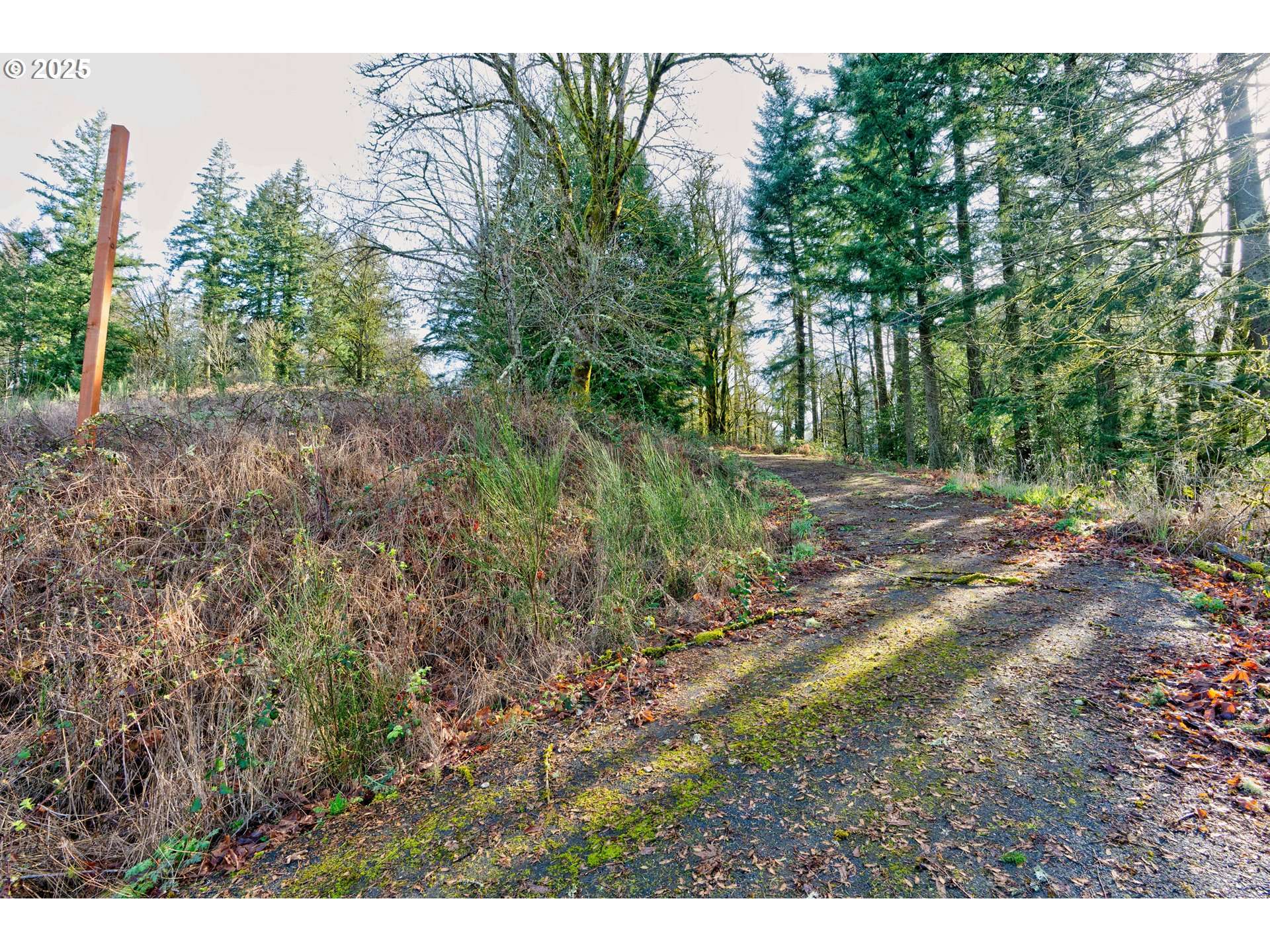 Portland, OR 97231,12505 NW GERMANTOWN RD