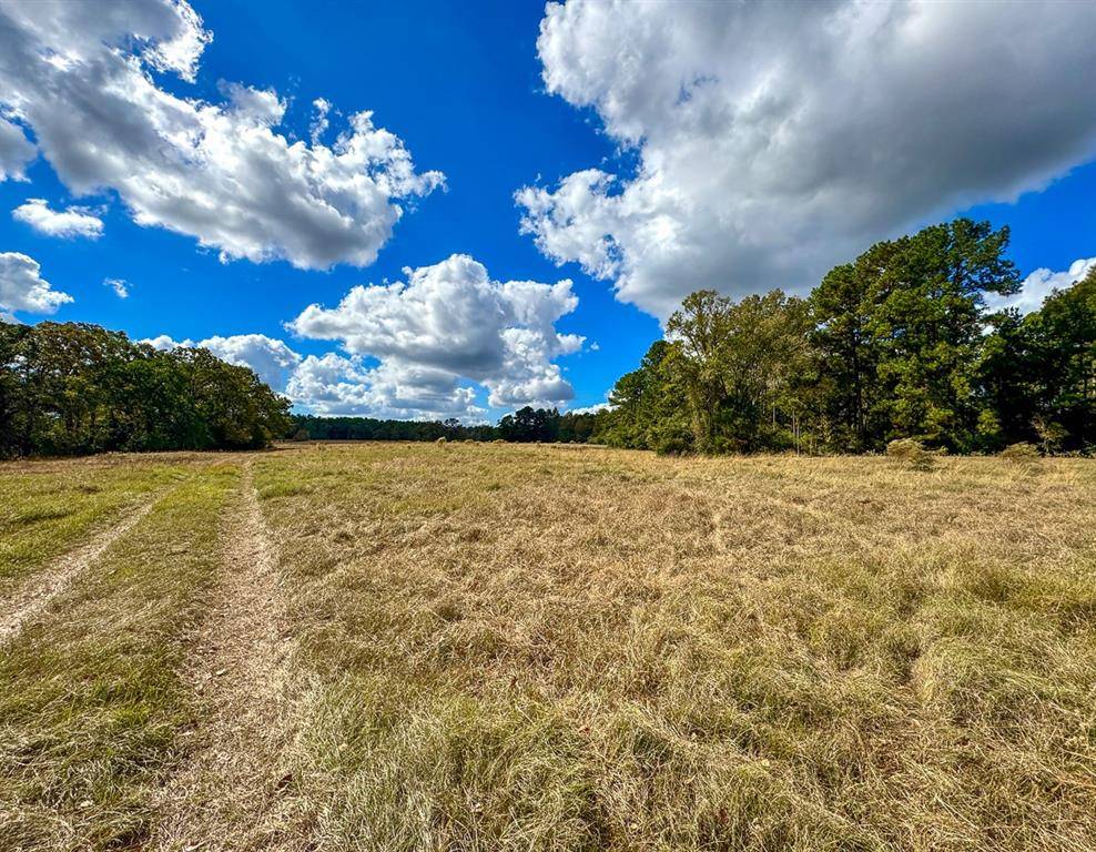 Huntsville, TX 77320,1 Wood Farm Road