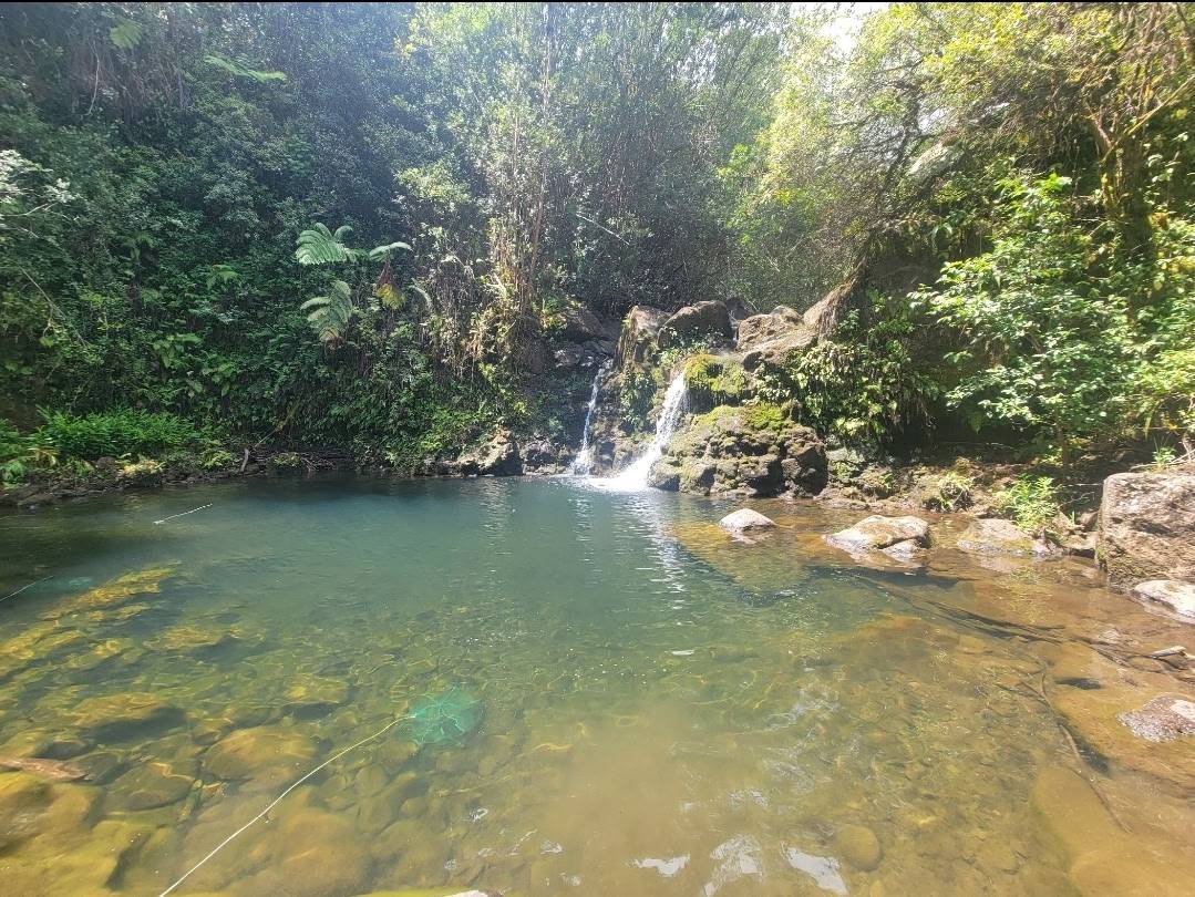 32-2471 STONE ROAD, Papaaloa, HI 96780
