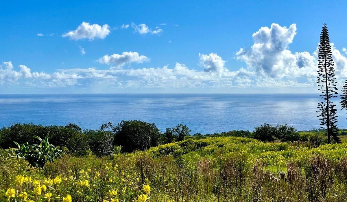 32-2471 STONE ROAD, Papaaloa, HI 96780