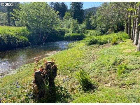 Mapleton, OR 97453,86549 Sweet Creek