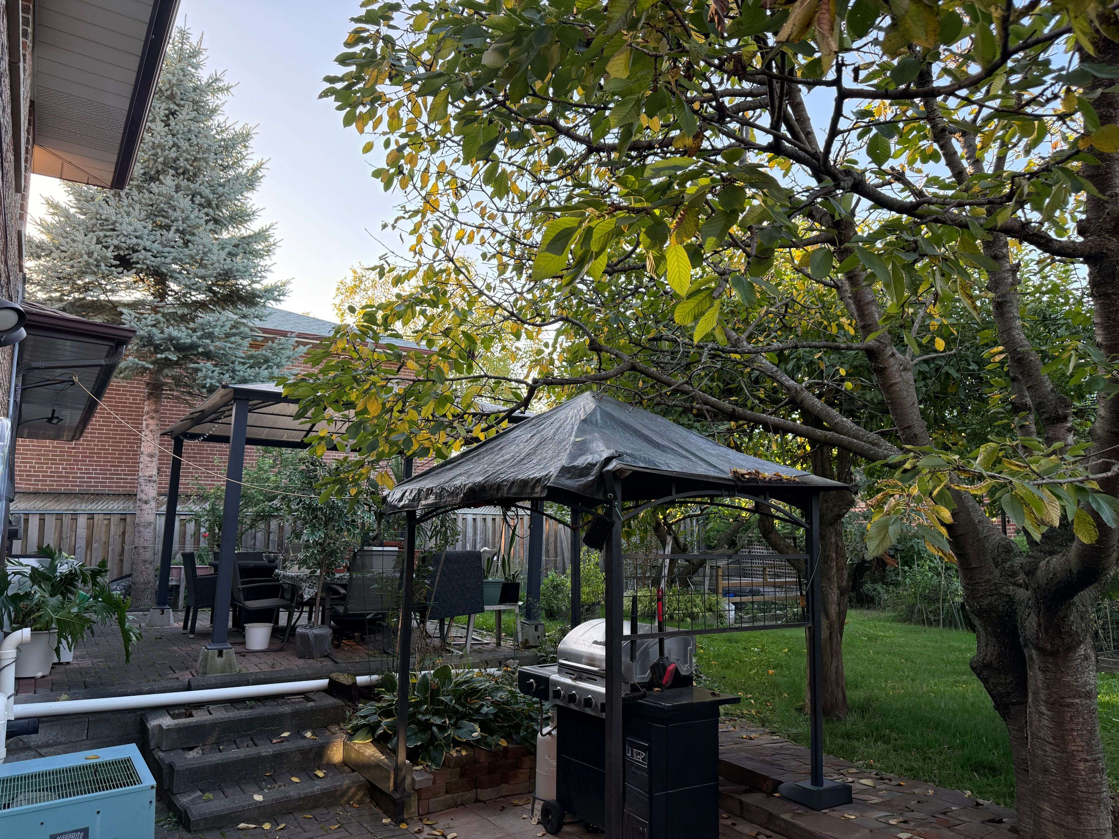 Toronto W09, ON M9P 1B7,258 La Rose AVE