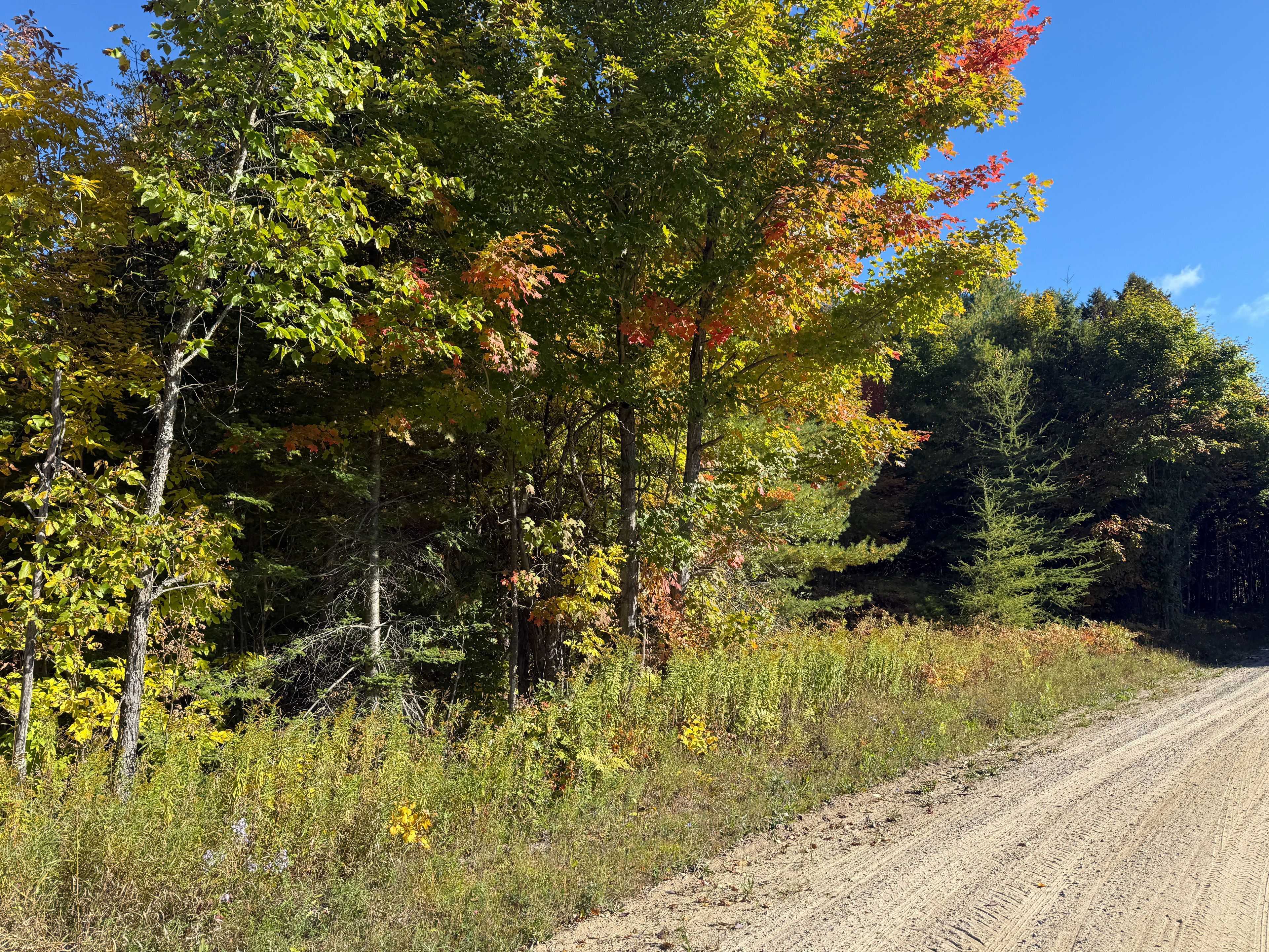 Tudor And Cashel, ON K0L 1W0,1794 St Ola RD