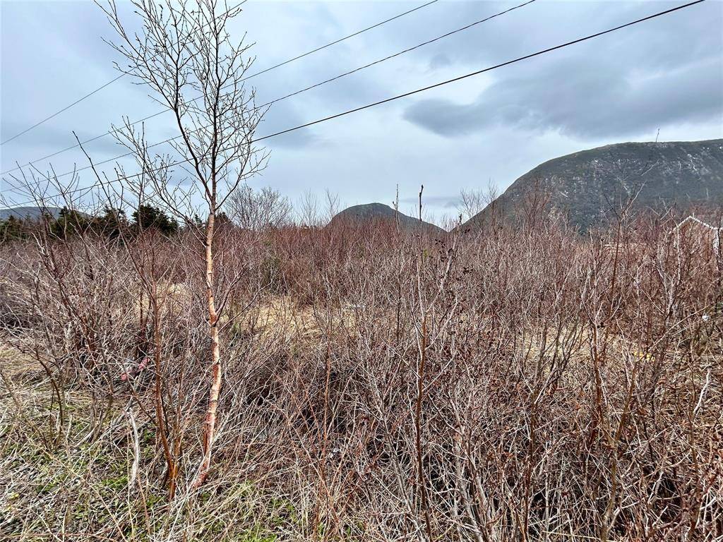 Lark Harbour, NL A0L 1H0,5 Harbourview Road