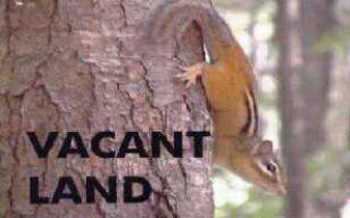 Tyendinaga, ON K0K 1X0,. LOWER SLASH RD