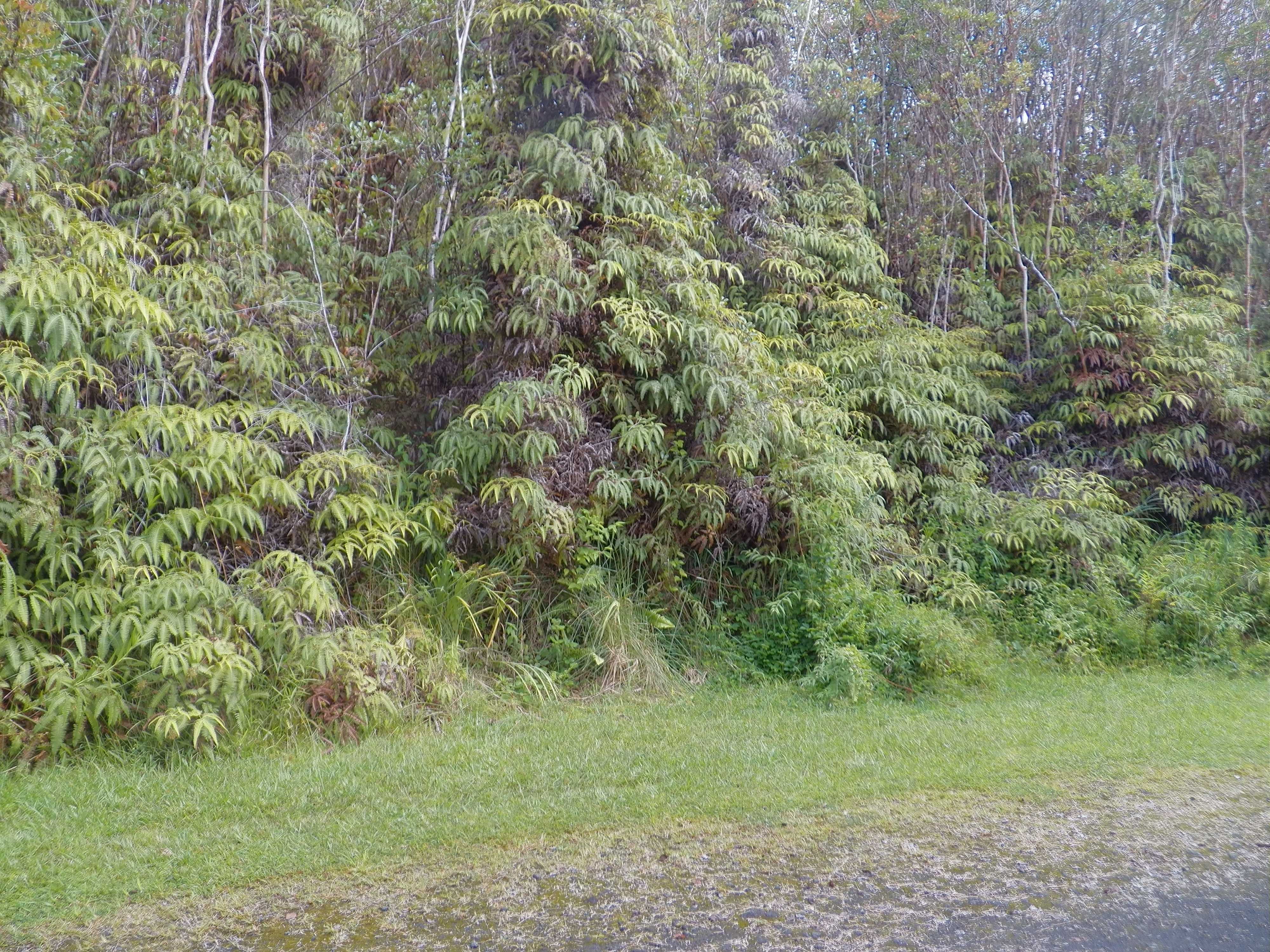 Mountain View, HI 96771,HAWAII ST