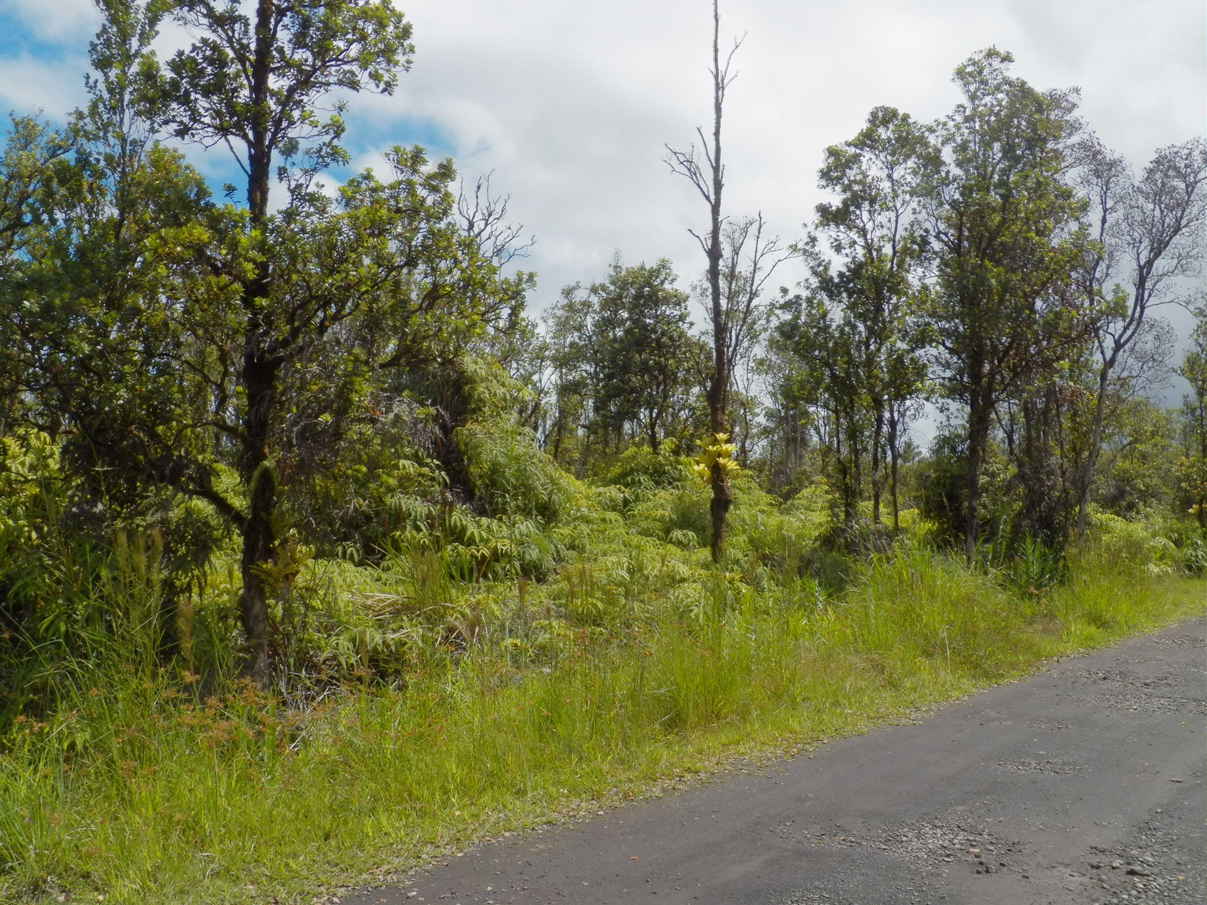 Mountain View, HI 96771,NAIA ST