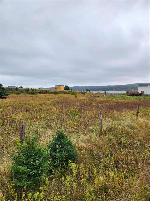 Renews, NL A0A 3N0,0 New Line