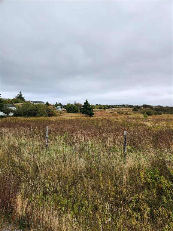 Renews, NL A0A 3N0,0 New Line