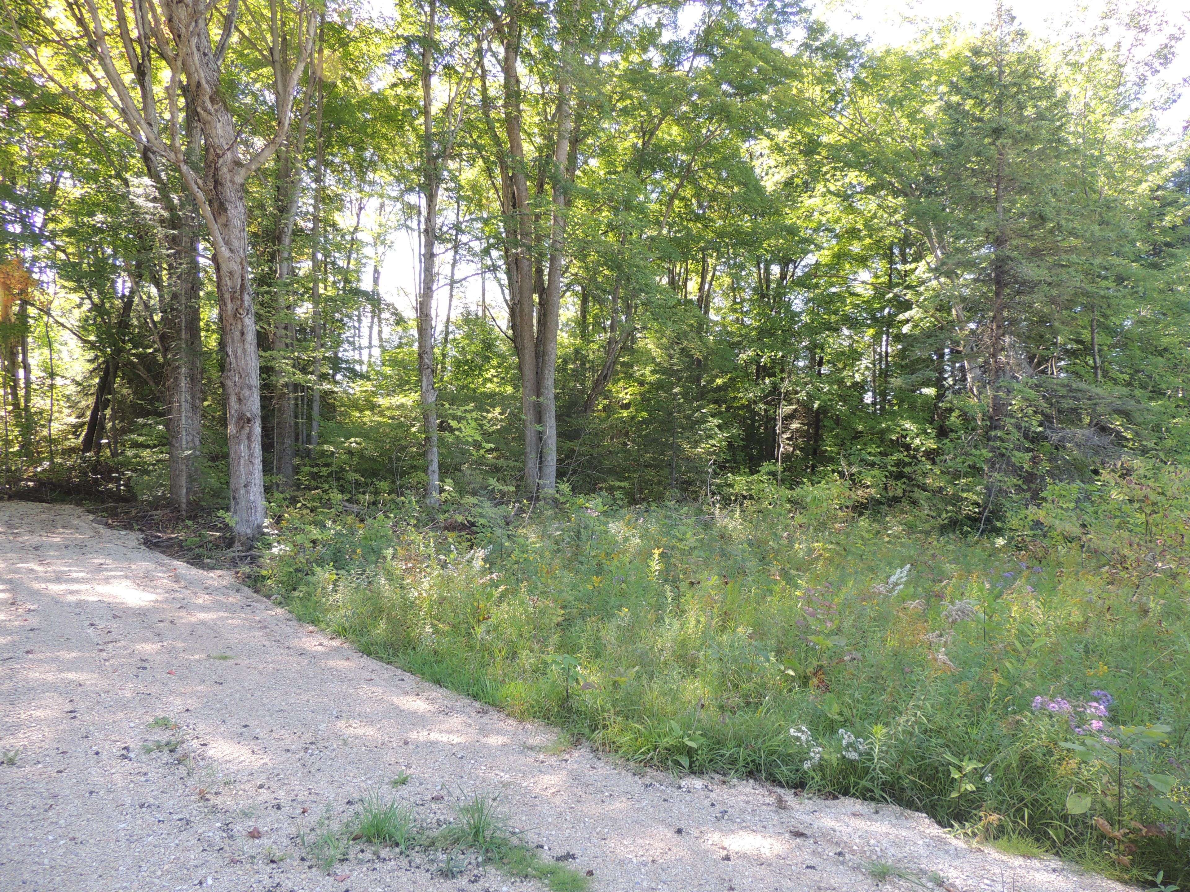 West Grey, ON N0C 1H0,LT 35 HIGHLAND DR