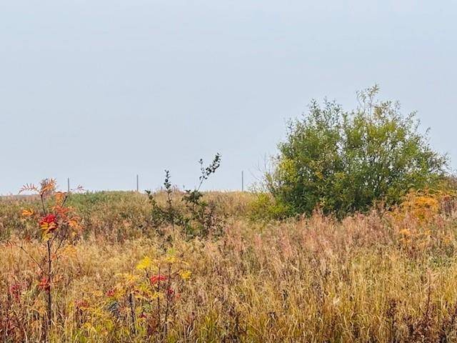 New Wes Valley, NL A0G 4R0,297 Main Street