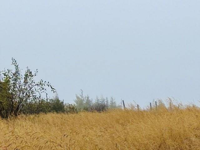 New Wes Valley, NL A0G 4R0,297 Main Street